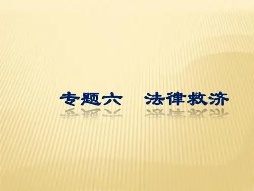 人教版2018高考政治总复习课件：选修5 专题六 法律救济 (共30张PPT)