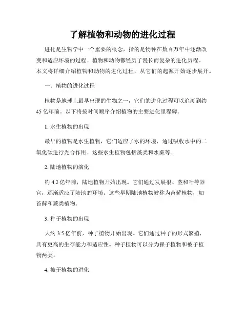 了解植物和动物的进化过程
