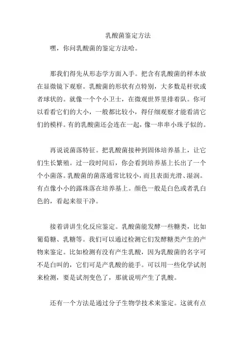 乳酸菌鉴定方法
