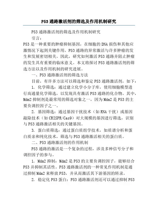 P53通路激活剂的筛选及作用机制研究