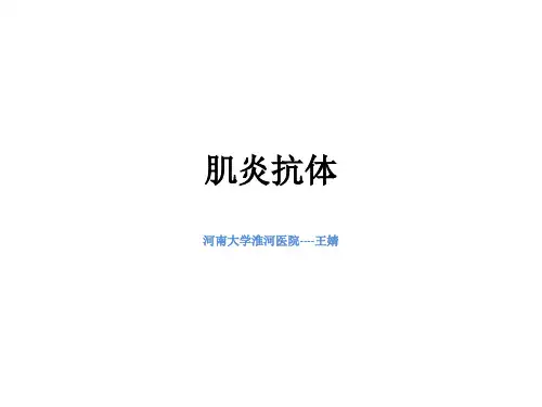 肌炎抗体