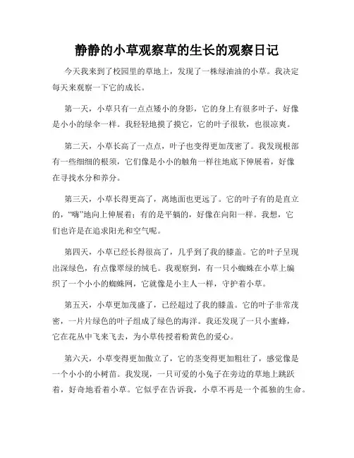 小学三年级作文静静的小草观察草的生长的观察日记
