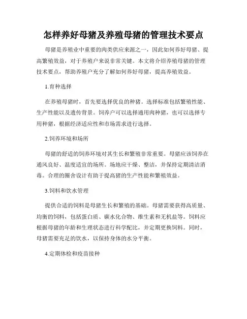 怎样养好母猪及养殖母猪的管理技术要点