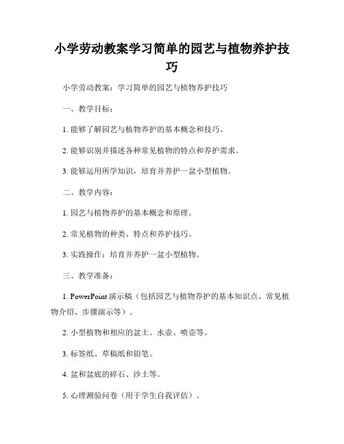 小学劳动教案学习简单的园艺与植物养护技巧