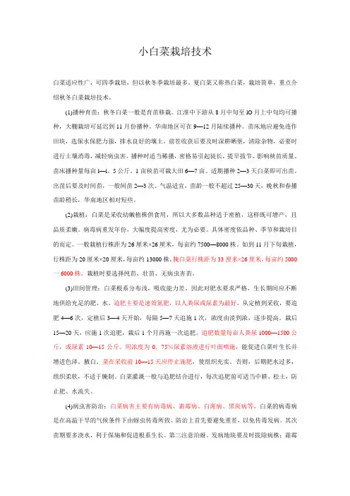 小白菜栽培技术