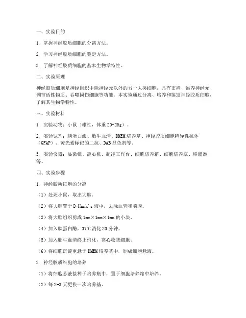 神经胶质细胞_实验报告