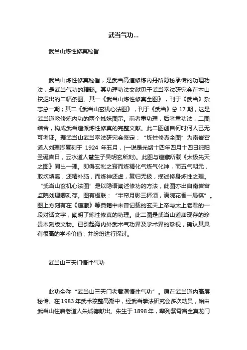 武当气功...