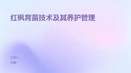红枫育苗技术及其养护管理