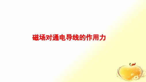 高中物理4磁场对通电导线的作用力优质公开课ppt课件