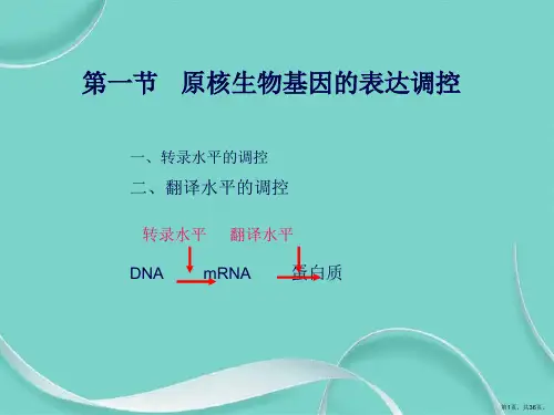 第十三章 基因的表达调控