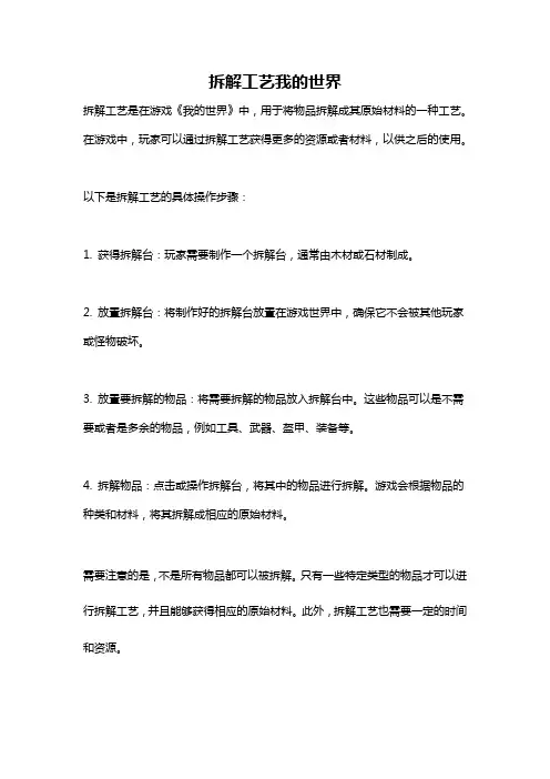 拆解工艺我的世界