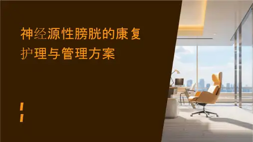 神经源性膀胱的康复护理与管理方案