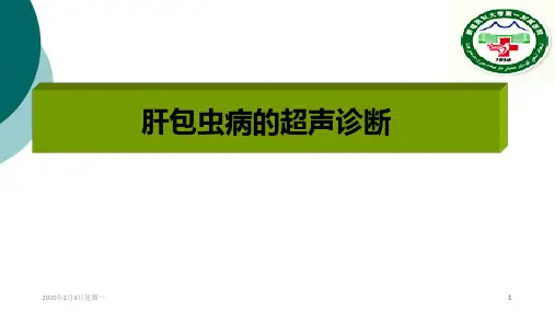 肝包虫病的超声诊断