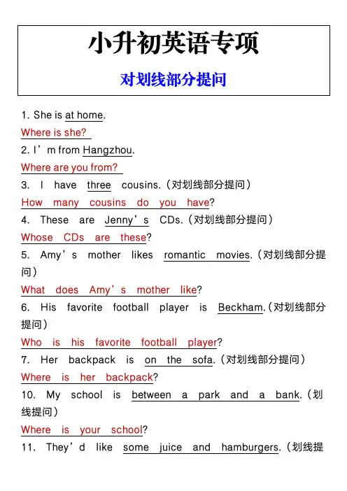 小升初英语专项 对划线部分提问