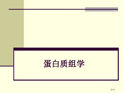 蛋白质组学专业讲座