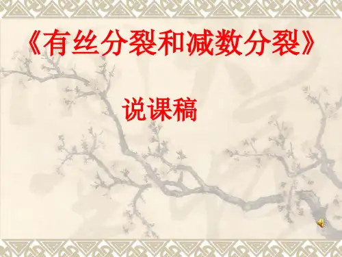 《有丝分裂和减数分裂》说课稿(共32张PPT)