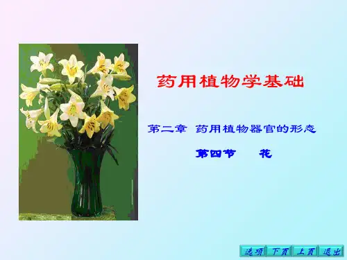 24植物器官花2知识课件知识讲稿