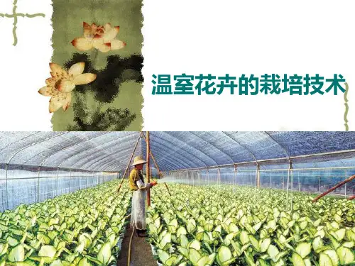 温室花卉的栽培精选课件PPT