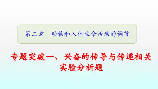 高二生物人教版必修3：专题突破一、兴奋的传导与传递相关实验分析题