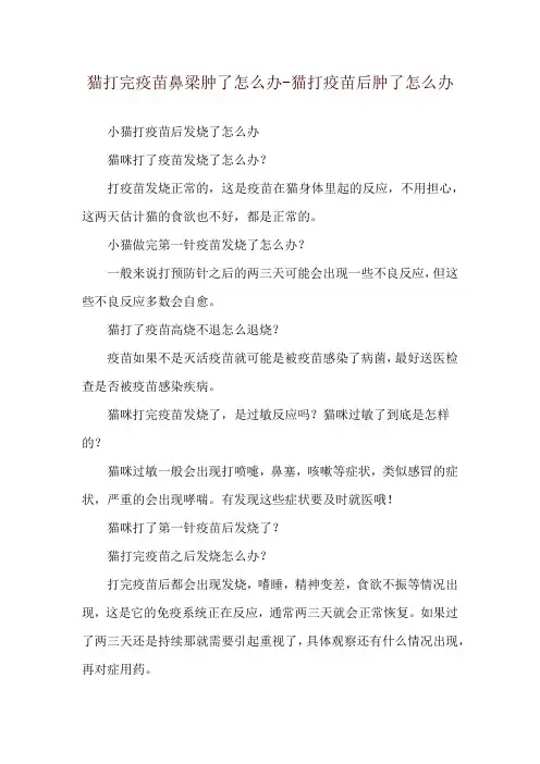 猫打完疫苗鼻梁肿了怎么办-猫打疫苗后肿了怎么办