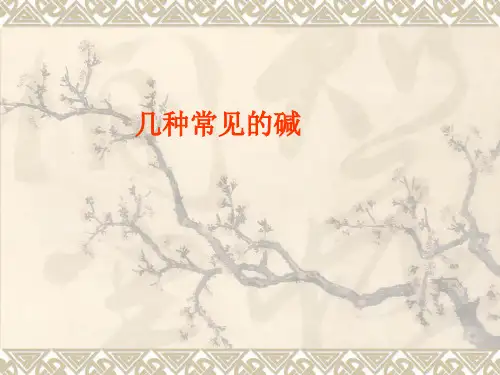 几种常见的碱(精讲)PPT优秀课件