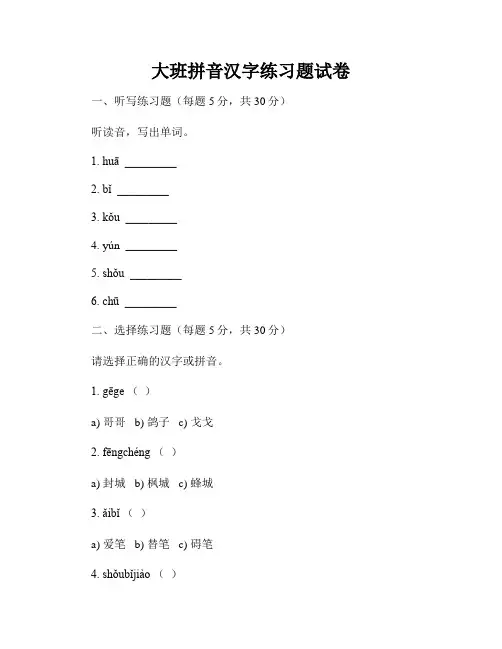 大班拼音汉字练习题试卷