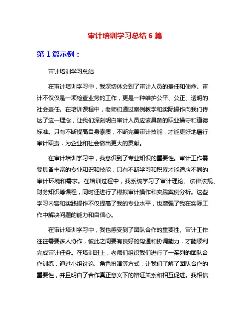 审计培训学习总结6篇