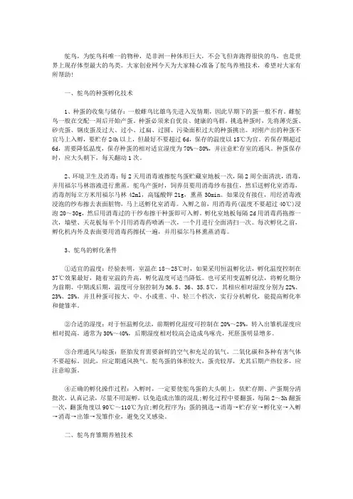 鸵鸟养殖技术大全(最新)