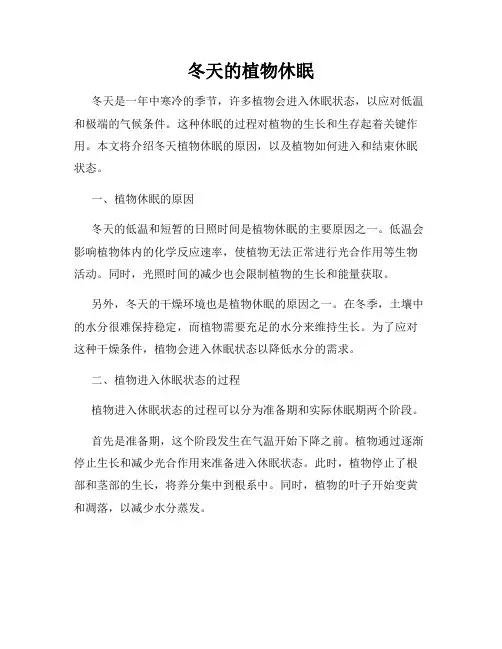 冬天的植物休眠