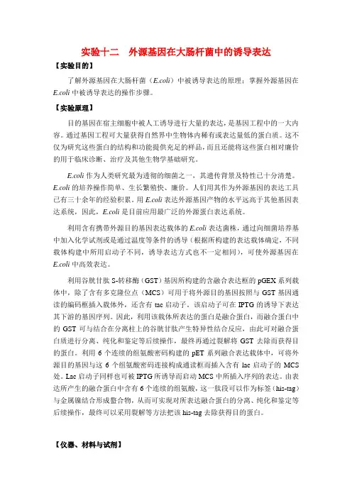 基因工程实验指导
