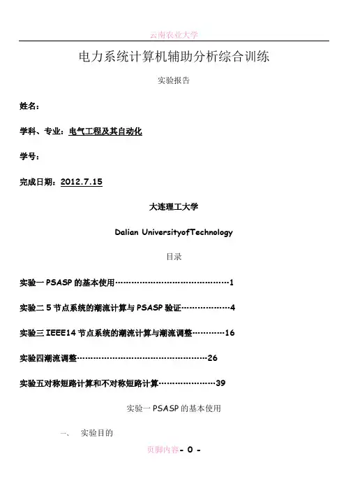 电力系统计算机辅助分析综合训练实验报告