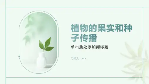 植物的果实和种子传播