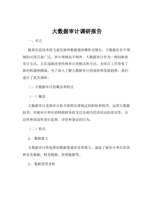 大数据审计调研报告