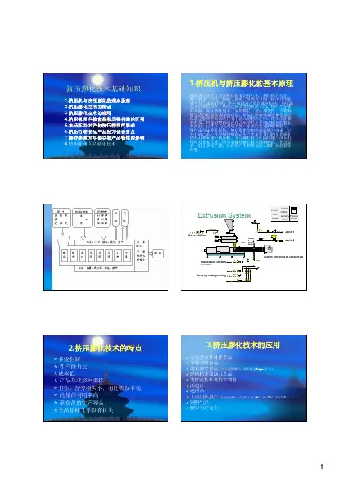 挤压膨化食品生产资料