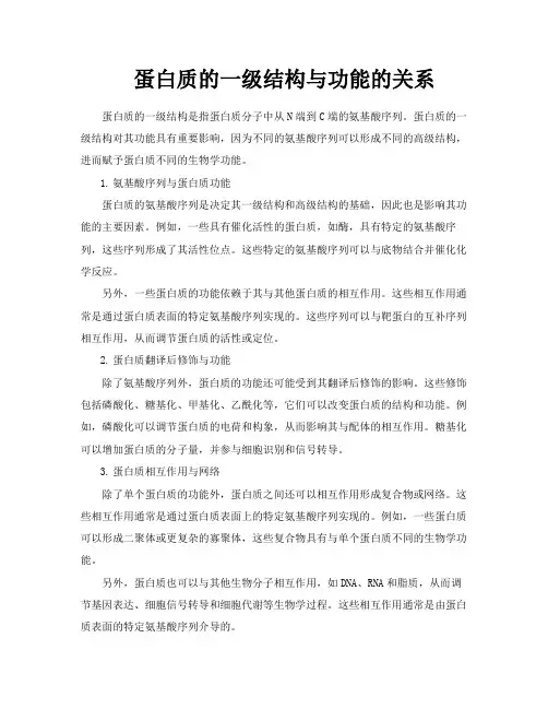蛋白质的一级结构与功能的关系