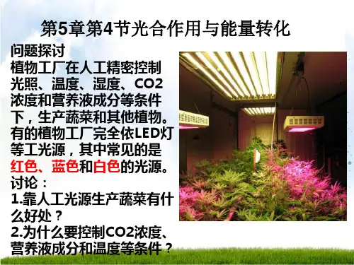 光合作用与能量转化【新教材】人教版高中生物必修PPT课件