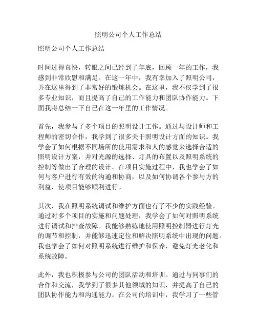 照明公司个人工作总结