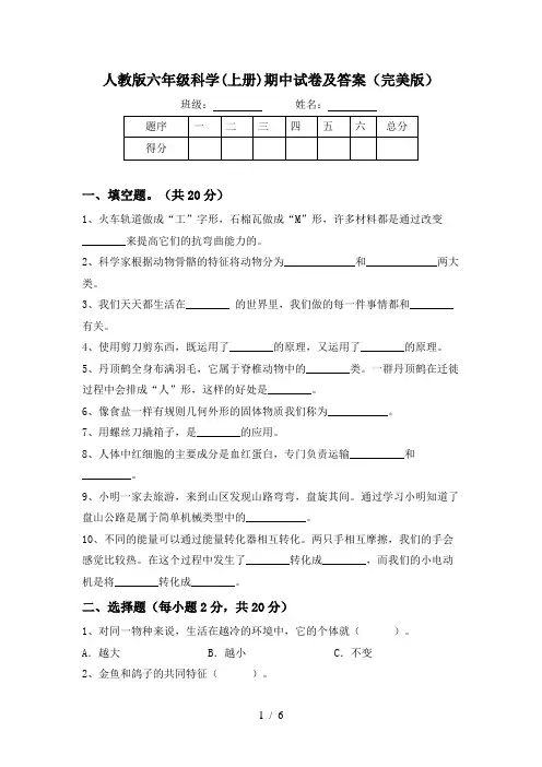 人教版六年级科学(上册)期中试卷及答案(完美版)