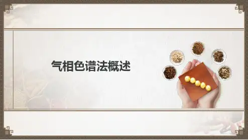 气相色谱法概述(中药制剂检验课件)