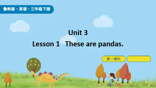 鲁科版三年级英语下册《These are pandas》Animals PPT课件(第1课时)