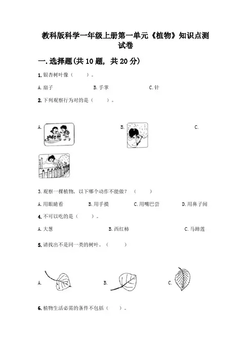 教科版科学一年级上册第一单元《植物》知识点测试卷附完整答案(各地真题)