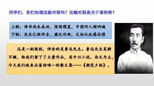 名著导读《朝花夕拾》课件 (公开课   优质课)