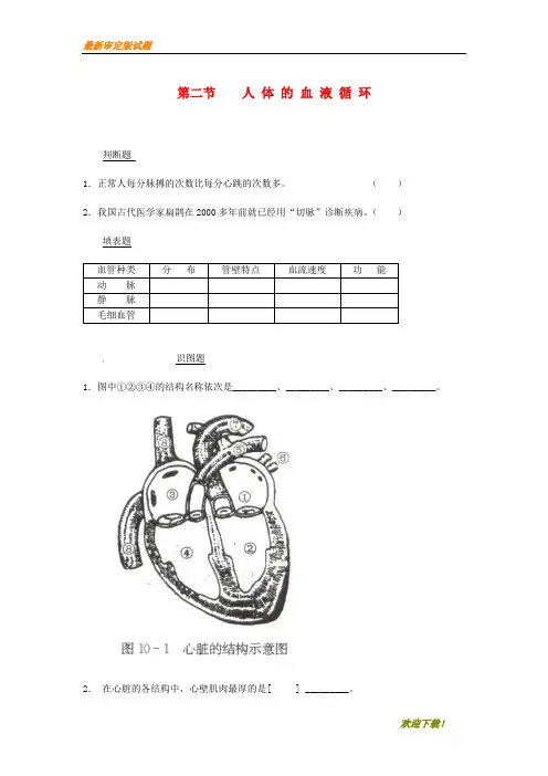 【名师推荐资料】七年级生物下册 10.2血液循环同步测试(无答案)(新版)苏教版