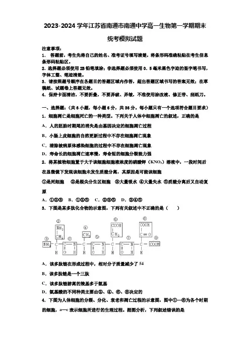 2023-2024学年江苏省南通市南通中学高一生物第一学期期末统考模拟试题含解析