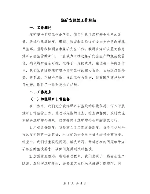 煤矿安监处工作总结