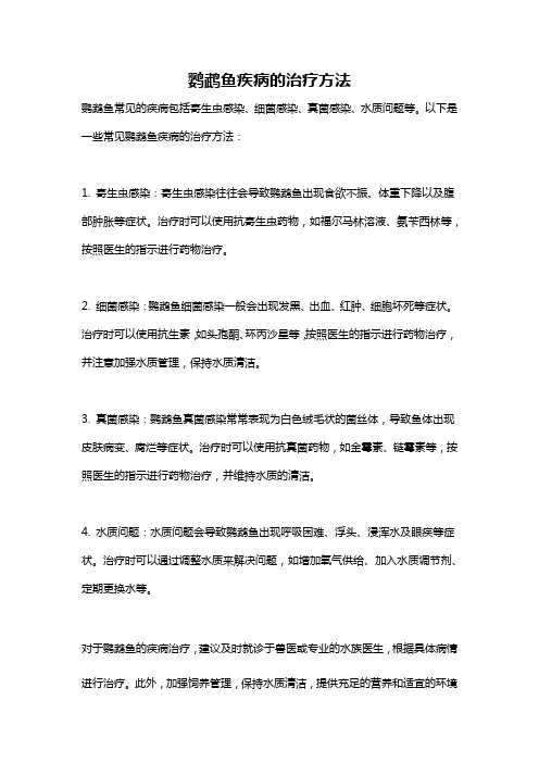 鹦鹉鱼疾病的治疗方法