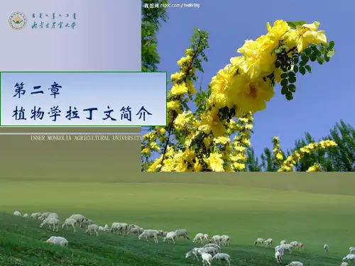 2 植物学拉丁文
