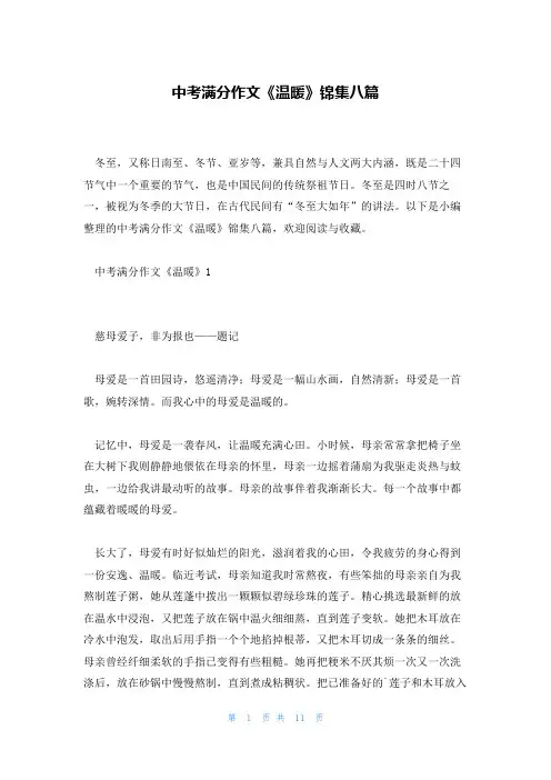 中考满分作文《温暖》锦集八篇