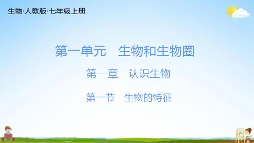人教版七年级生物上册 第一单元 总复习 练习题教学课件PPT初一公开课