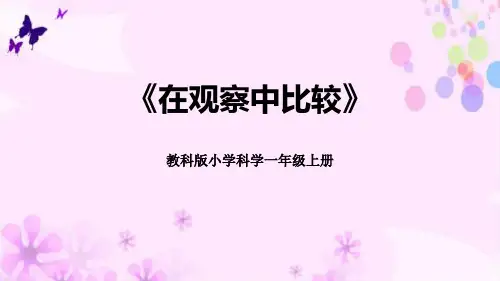 《在观察中比较》科学教学PPT课件(7篇)